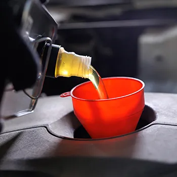 oil changes an maintenance in sugar land tx