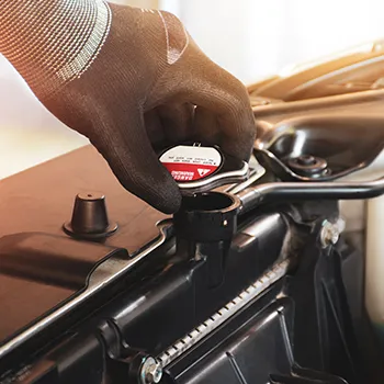 Cooling System Service